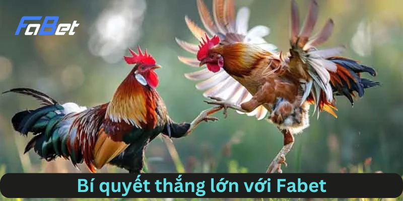 Những bí quyết thắng lớn