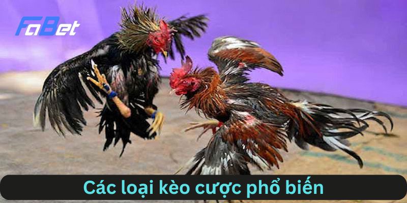 Các loại kèo cược phổ biến