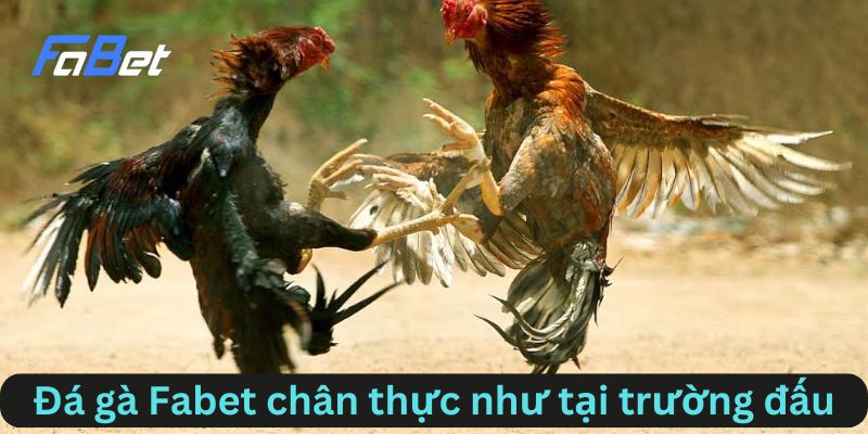 Trải nghiệm chân thực như tại trường đấu